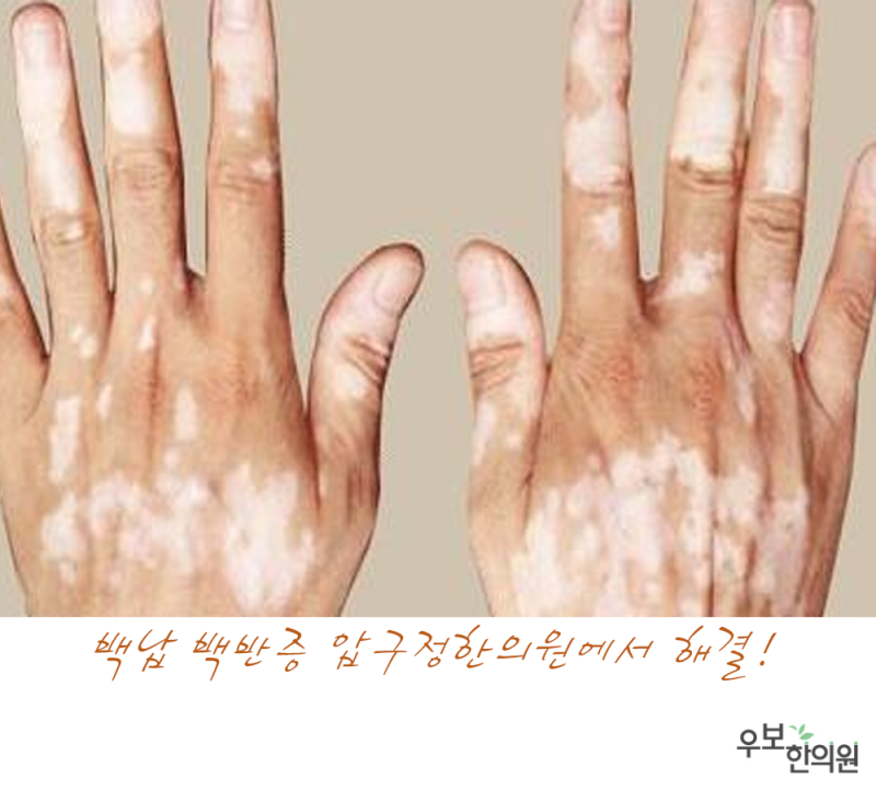 아모레퍼시픽 미술관 <조선, 병풍의 나라 2> ZOOM IN : 병풍 속에 핀 매화~ 2023. 4. 30