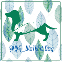 사진 7