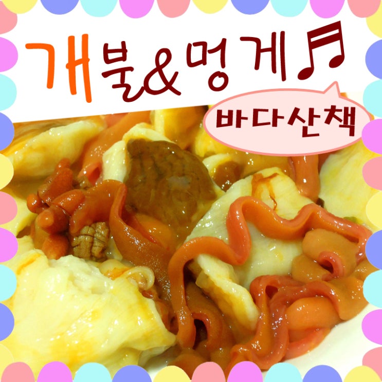  개불 맛 멍게 맛 바닷가 살면서 이제서야..