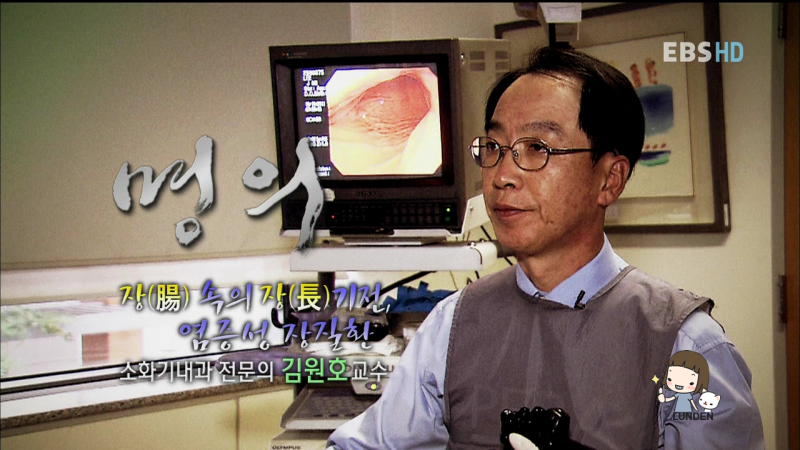 E229 장(腸) 속의 장(長)기전, 염증성 장질환 - 소화기내과 전문의 김원호교수(EBS1, 2011.11....
