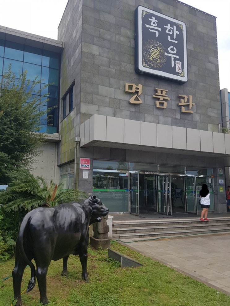 제주흑한우맛집에서 한우탕으로 혼밥 서귀포흑한우명품관 제주흑한우맛집에서 한우탕으로 혼밥 서귀포흑한우명품관