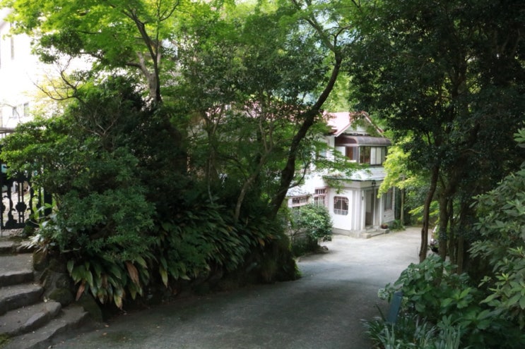 箱根 底倉温泉 函嶺 かんれい 소코구라온센 칸레이 네이버 블로그
