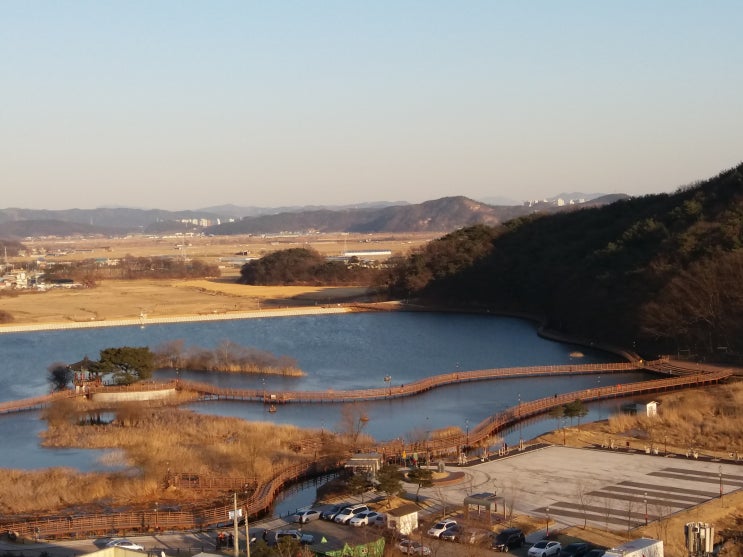  아파트앞 공원 좋은 것만 아니네요.