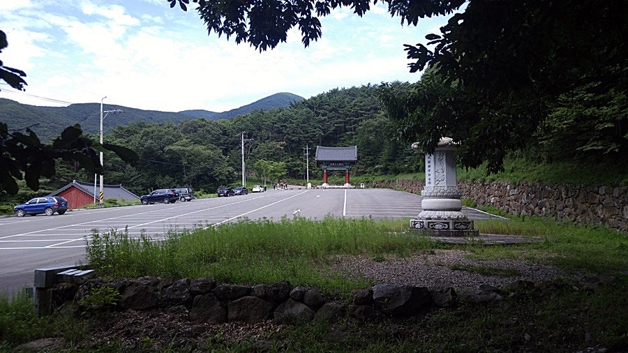 왼골 사진 4