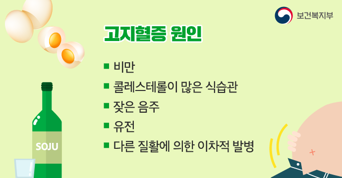 고지혈증 증상: 중년의 건강을 위협하는 고지혈증 수치 관리 3