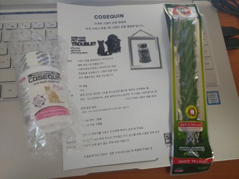 고양이 관절 영양제 코세퀸~!! 이렇게 주니 잘먹네요!