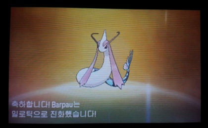 메가 밀로틱 누출