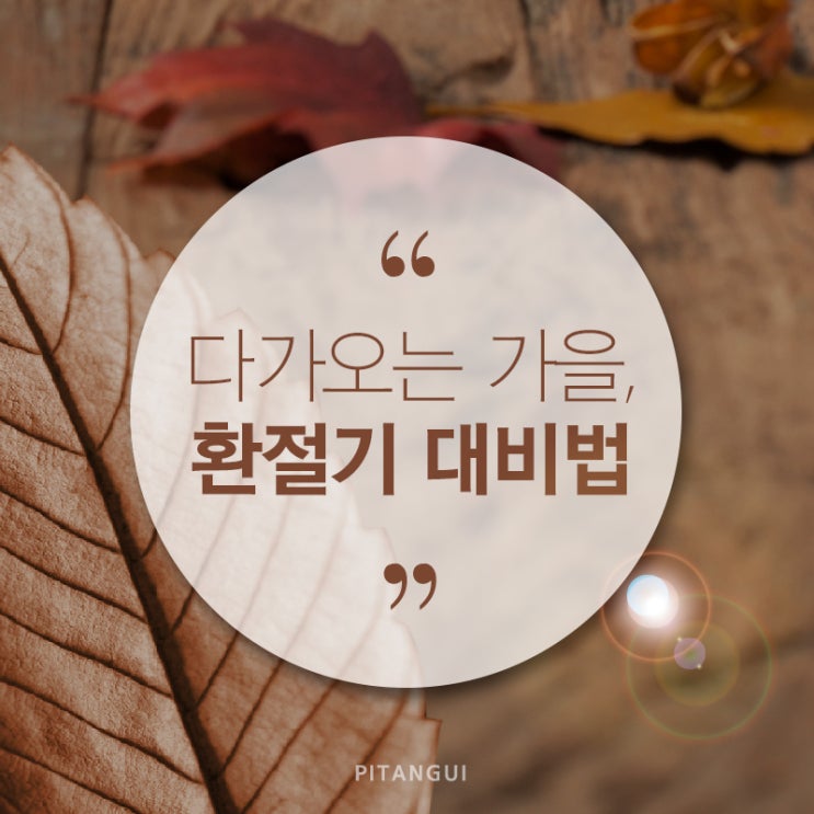  삐땅기 꿀팁 :: 깨알같은 가을철 환절기 대비법