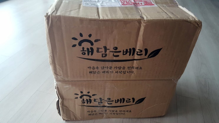  아로니아 효능 알아봤습니다.