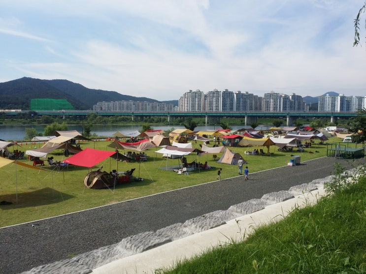  대구시 금호강 산격야영장