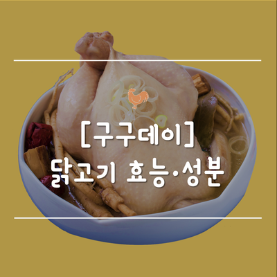  [9월9일/구구데이] 맛은 물론 건강까지! 닭고기 효능, 성분, 성질, 영양소, 장점