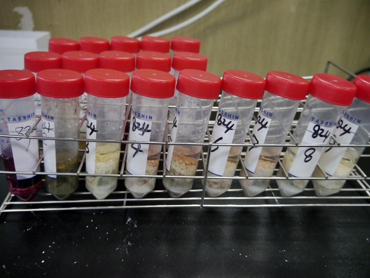 아이쿱인증센터 네이버 블로그