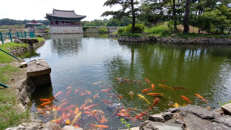 경관조명 야경이 아름다운 곳 경주 안압지 동궁과 월지 풍경