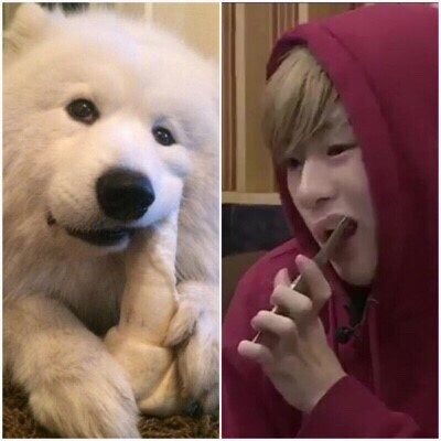강다니엘의 모든것. 학교, 본명, 키, 혈액형, 종교, 젤리, 비보잉, 별명, 갭차이