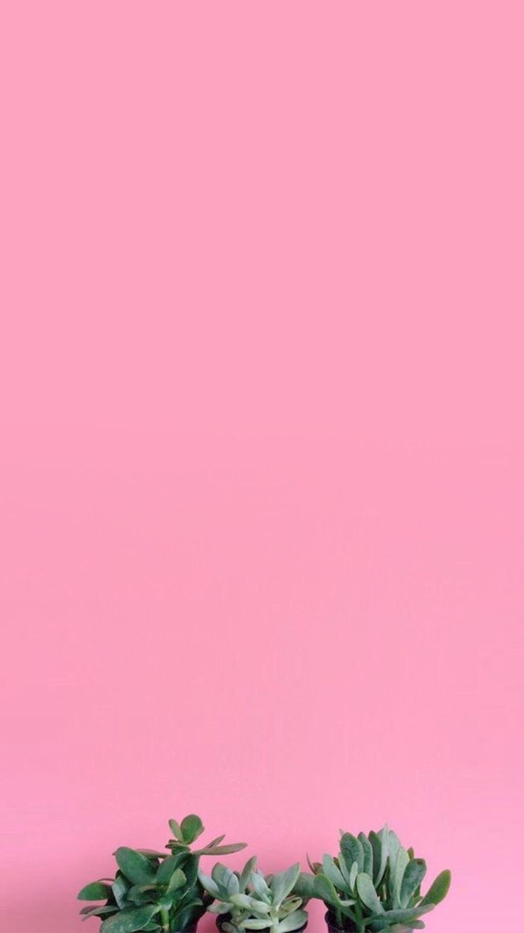 아이폰 핑크 배경화면 고화질 12종♥ : 네이버 블로그