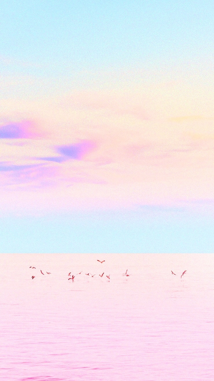 아이폰 핑크 배경화면 고화질 12종♥ : 네이버 블로그