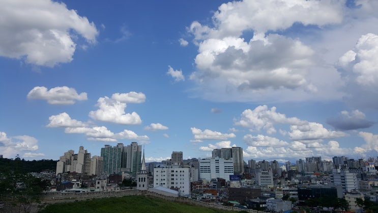  제2회 성남시 수어문화제 자원봉사 및 일상