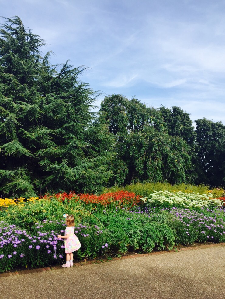 영국 워홀 564. 큐 가든(런던 여행/kew gardens)