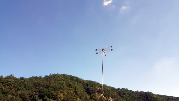  충북 괴산 가볼만한곳 목도강수욕장