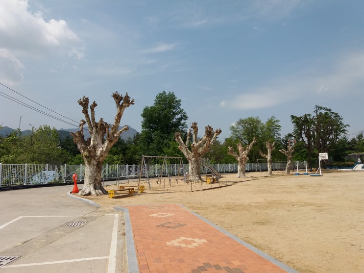  지금 생각해보면 많은 걸 안겨줬던 첫 회사 어땠나요?