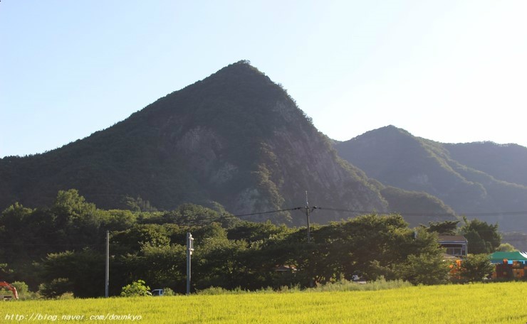  올해도 영동포도 수확 시기가 되었어요 / 영동기숙형중학교 공사가 시작되었어요 / 9월 황간 모습 