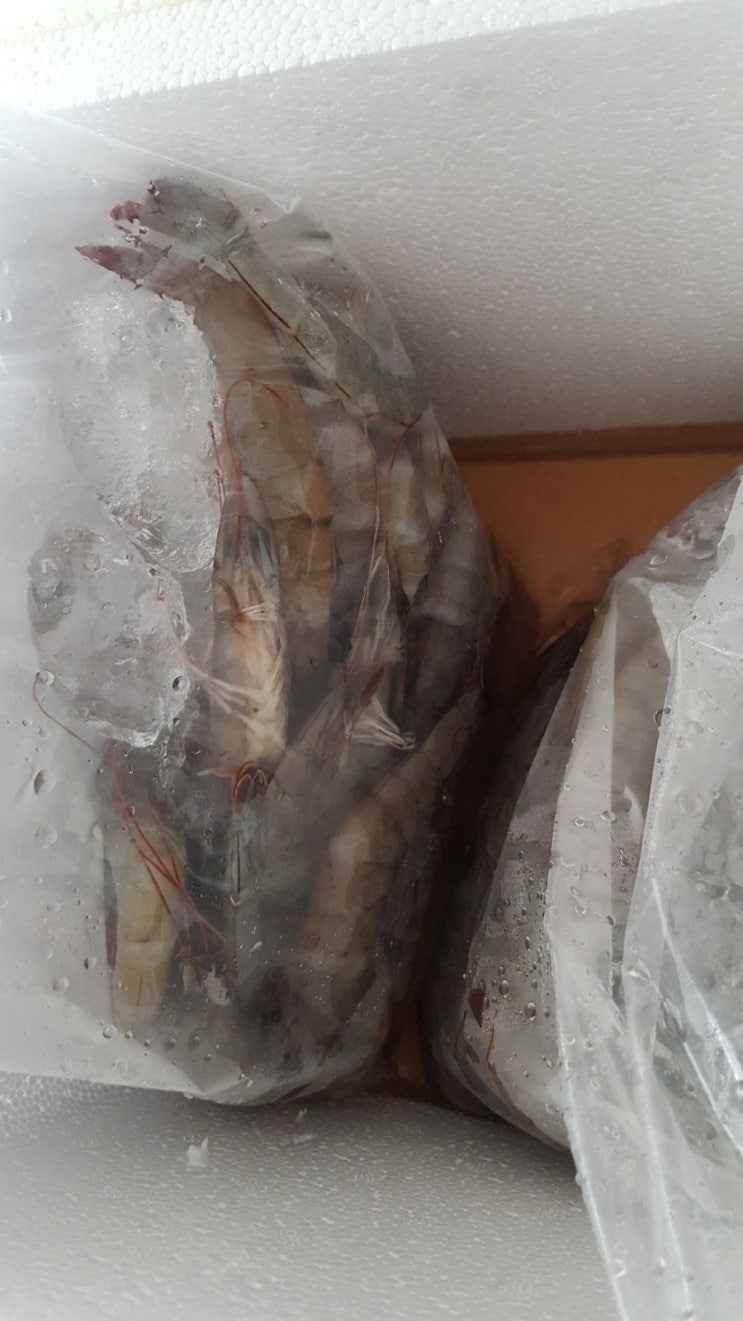  (달봉카페 새우부인) 올해도 대하구이