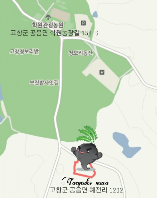 찾아오는 길 찾아오는 길