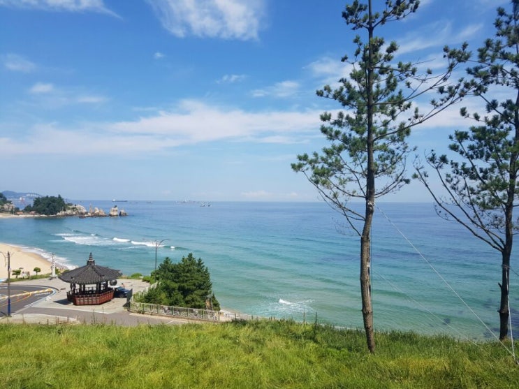  삼척 쏠비치로 떠난 여행, 삼척 먹거리 추천!