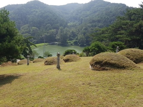  ｀고령 선산 벌초 작업。보림조경