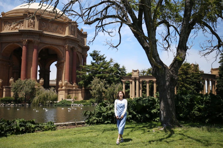 샌프란시스코 여행, 로맨틱한 팰리스 오브 파인아트 Palace of Fine Arts