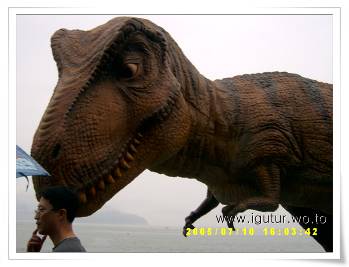 2005/07/10 공룡의 나라 고성!