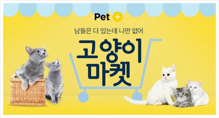 고양이사료 가격 어서옥션 사이트에서 만나는 특급 사료값 할인혜택, 고양이마켓 베스트 아이템 확인