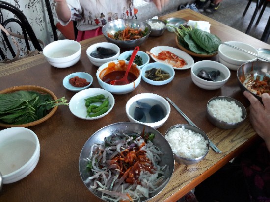  경주 맛집 / 울산 맛집 <용산회식당> 회비빔밥, 횟밥