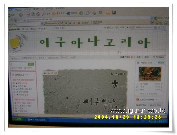  2004/11/13 자랑스러운 이구아나코리아! 