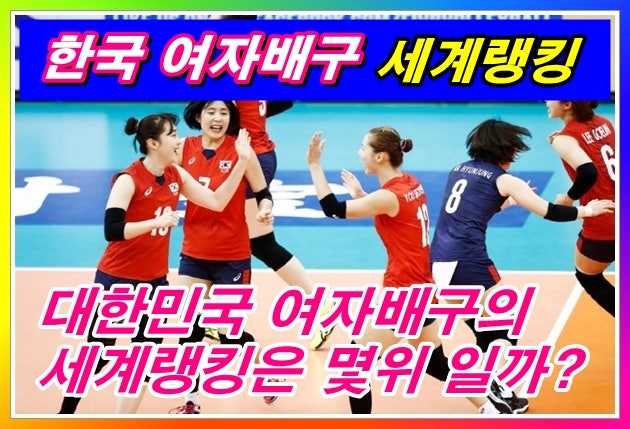 ì—¬ìžë°°êµ¬ ì„¸ê³„ëž­í‚¹ í•œêµ­ì€ ëª‡ìœ„ ë„¤ì´ë²„ ë¸