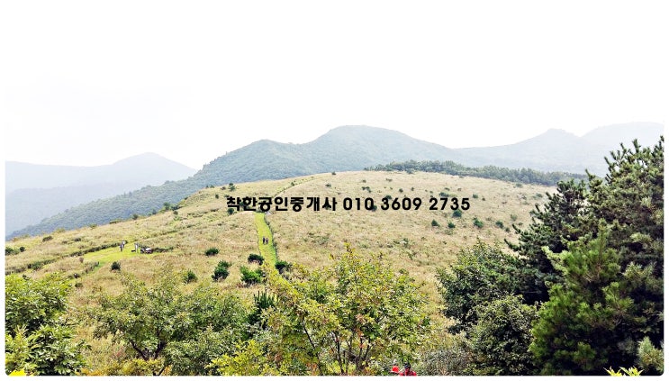  착한공인중개사 경주 무장산에 가다