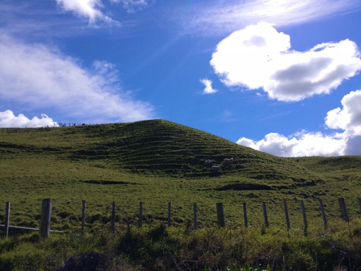 뉴질랜드 여행 : 기스본 이곳저곳 / Okitu Scenic  Reserve