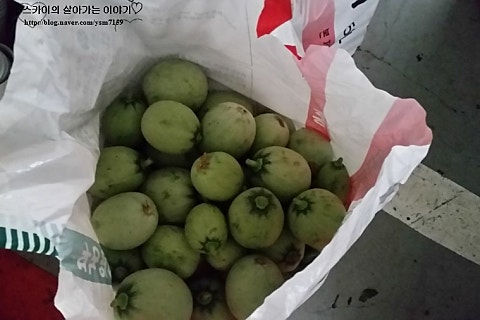 오늘의맘찬 이미지