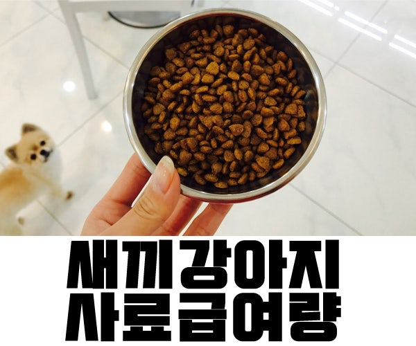 강아지 사료 급여량, 반려견 사료 2개월 3개월 4개월 5개월 사료양