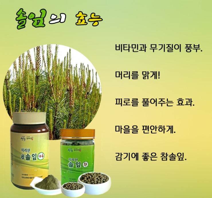  솔잎의 효능(가을철에 좋은 식품)