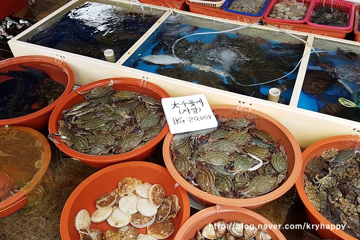 태안 꽃게 :: 신진도 어촌계 수산물 직판매장