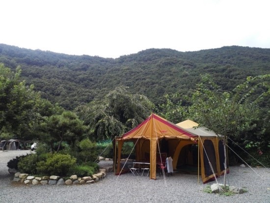  버팔로 뉴타프스크린하우스