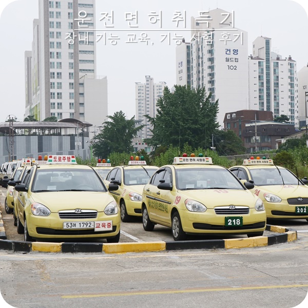  성산 운전면허 학원. 장내 기능 교육, 장내 기능 시험 후기