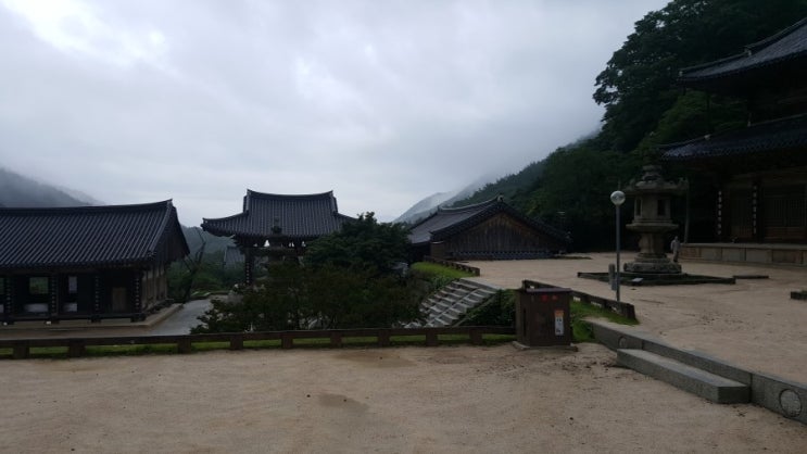  행정심판을 이해하고 필요시 적절하게 활용하는 지혜가 필요합니다