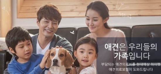 "나만 고양이 보험 없어"…KB국민 등 금융업계, '펫팸족'을 잡아라 "나만 고양이 보험 없어"…KB국민 등 금융업계, '펫팸족'을 잡아라