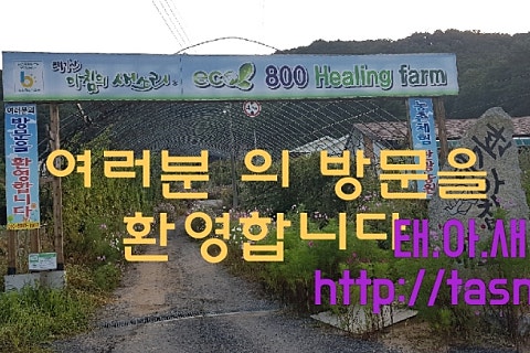 법인알프스농원 이미지