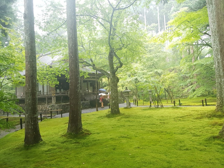  일본 여행 교토 오하라 산젠인 세료 료칸