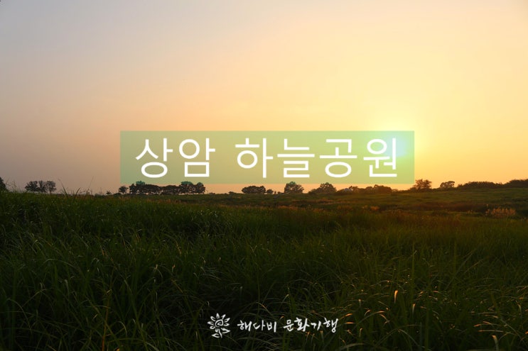  서울 상암 하늘공원 억새, 해다비