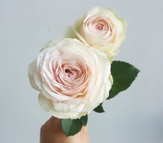 연애상담- 끝난썸 다시 만날 순 없을까요?? : 네이버 블로그 연애상담- 끝난썸 다시 만날 순 없을까요?? : 네이버 블로그