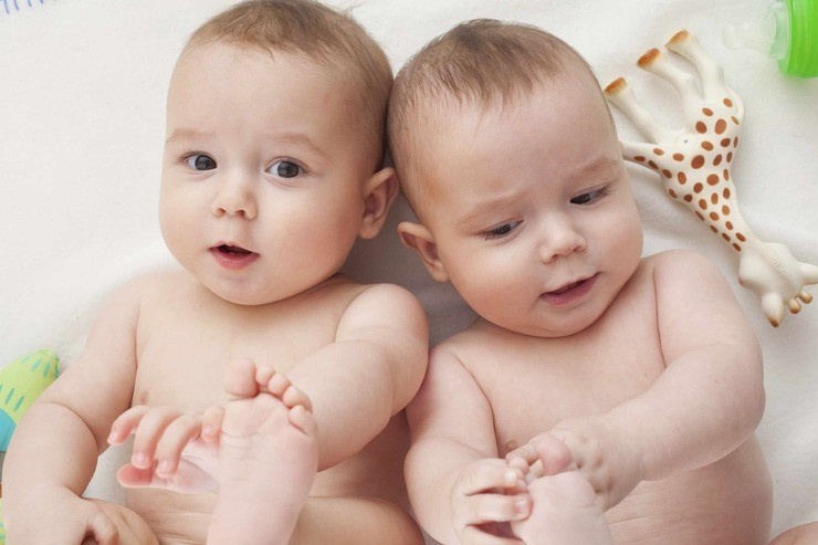  일란성 쌍둥이 vs 이란성 쌍둥이 차이점